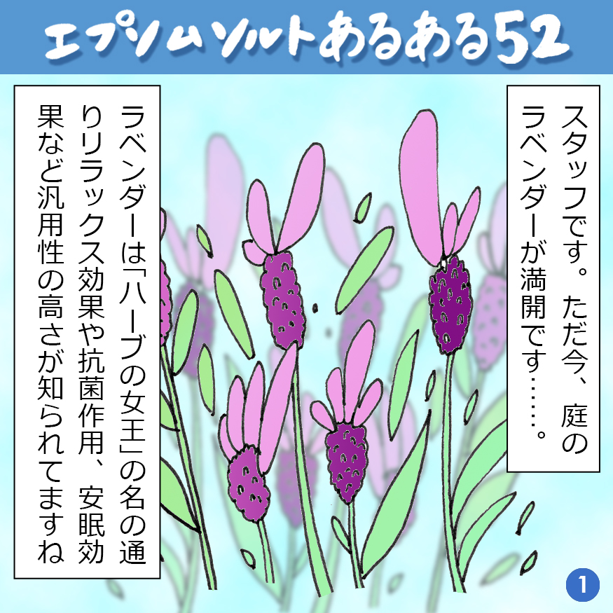 エプソムソルトあるある 52